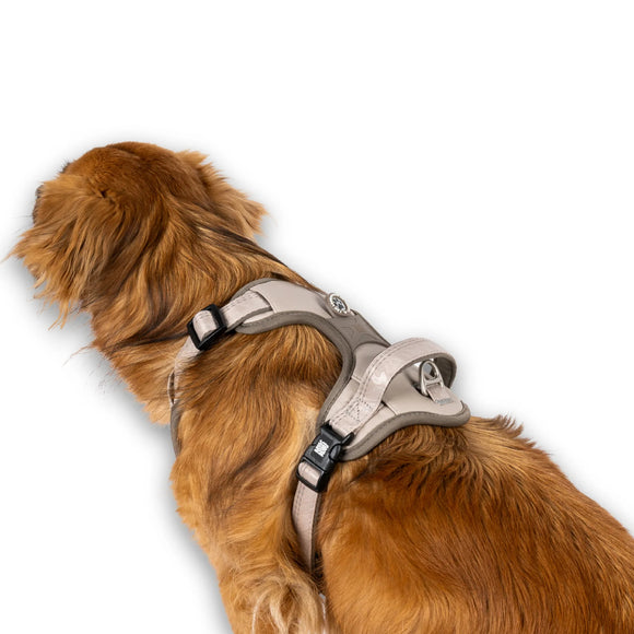 Max&Molly Matrix 2.0 Sport Harness – Adjustable Sand Beige with QR ID, Medium Size