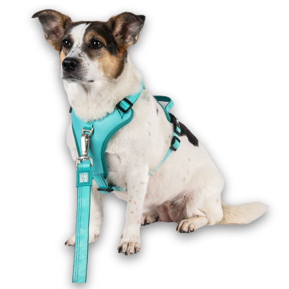 Max&Molly Matrix 2.0 Sport Harness – Adjustable Turquoise Dog Harness with QR ID, Medium