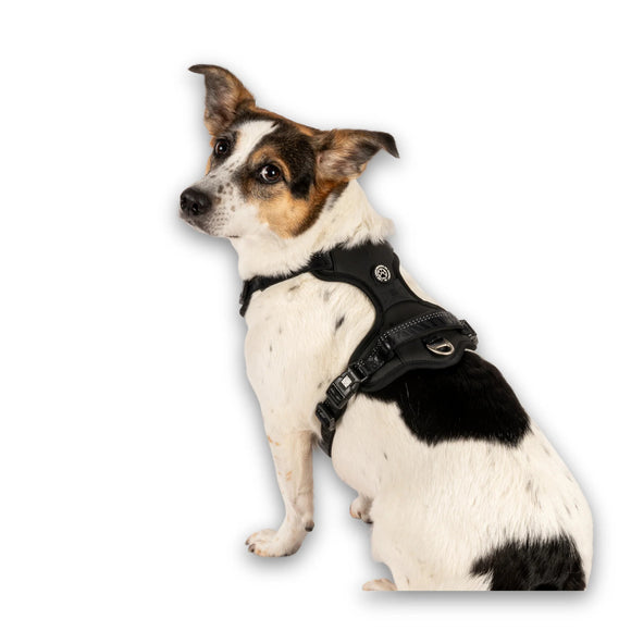 Max&Molly Matrix 2.0 Sport Harness – Adjustable Black Design with QR Tag, XL Size