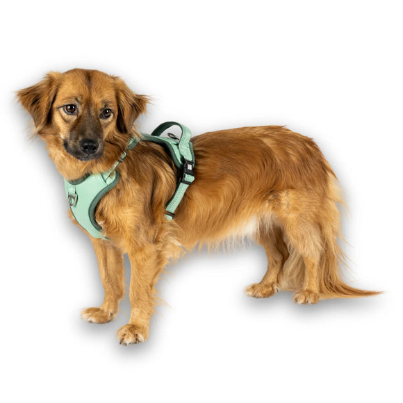 Max&Molly Sport Harness Matrix 2.0 Jade – Adjustable Dog Harness with QR ID, Mint, Large