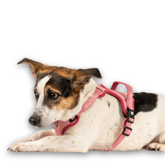 Max&Molly Matrix 2.0 Sport Harness – Adjustable QR ID Dog Harness, Pastel Pink, Small