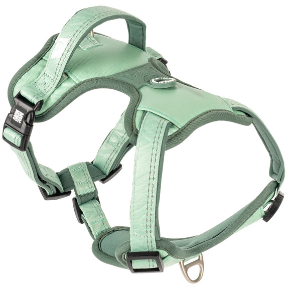 Max&Molly Sport Harness Matrix 2.0 Jade – Adjustable Dog Harness with QR ID, Mint, Large