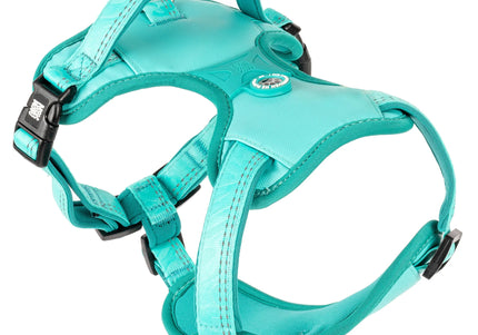Max&Molly Matrix 2.0 Sport Harness – Adjustable Turquoise Dog Harness with QR ID, Medium