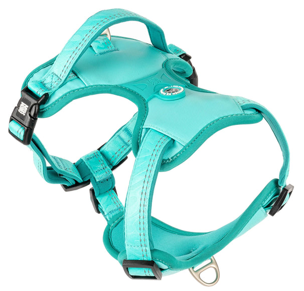 Max&Molly Matrix 2.0 Sport Harness – Adjustable Turquoise Dog Harness with QR ID, Medium