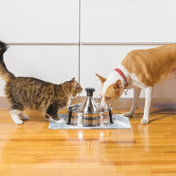 PetSafe Drinkwell 360 Stainless Steel Fountain – Large 3.8L Multi-Jet Water Dispenser, Hygienic Design