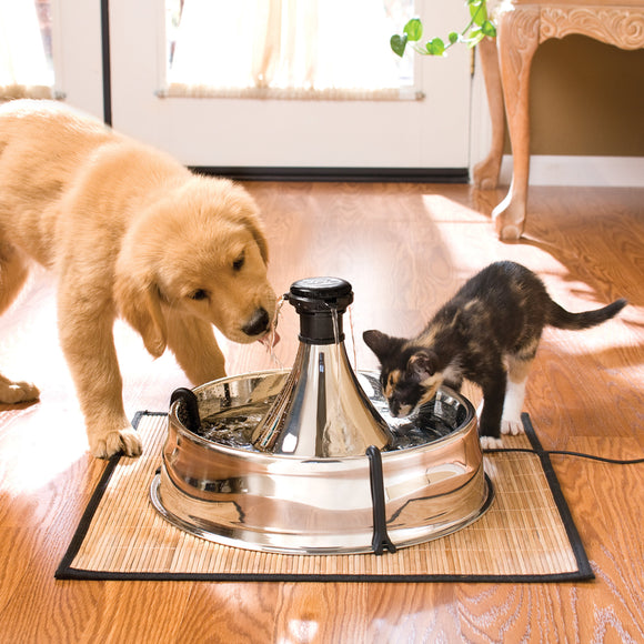 PetSafe Drinkwell 360 Stainless Steel Fountain – Large 3.8L Multi-Jet Water Dispenser, Hygienic Design