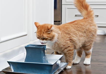 PetSafe Drinkwell Pagoda Ceramic Fountain – 2L Blue, Hygienic Water Dispenser with Quiet Pump