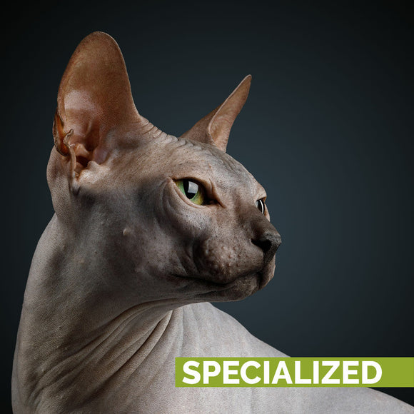 Show Tech+ Skinsational Sugar Scrub 200ml – Deep Cleansing Exfoliating Formula, Gentle on Skin