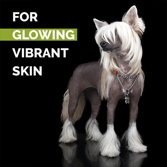 Show Tech+ Skinsational Sugar Scrub 200ml – Deep Cleansing Exfoliating Formula, Gentle on Skin