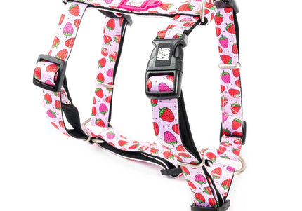 Max&Molly H-Harness Strawberry Dream – Colorful Adjustable Harness, Large Size, Comfortable Fit
