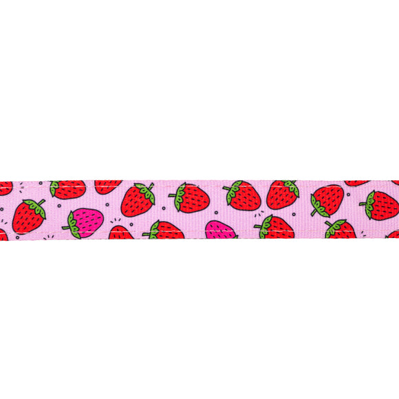 Max&Molly GOTCHA! Smart ID Cat Collar Strawberry Dream – Colorful Adjustable Collar with Smart Tag