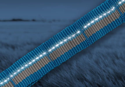 Kurgo RSG Stub Leash – Adjustable Blue Dog Leash, Durable 2.5x144cm Design