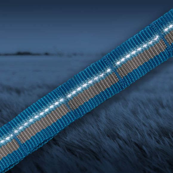 Kurgo RSG Stub Leash – Adjustable Blue Dog Leash, Durable 2.5x144cm Design