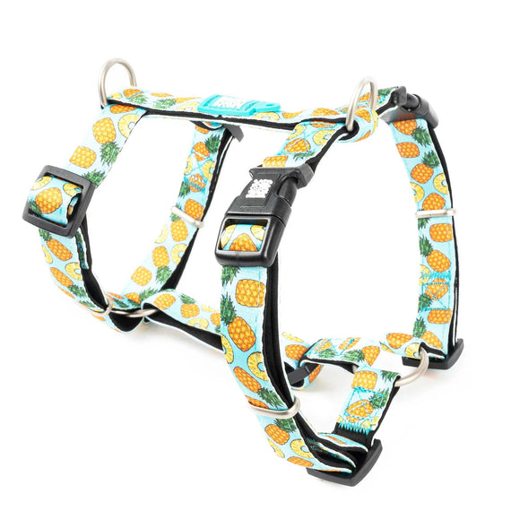 Max&Molly H-Harness Pineapple – Colorful Adjustable Dog and Puppy Harness, XS Size