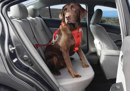 Kurgo Swivel Teether Car Seat Belt – Adjustable Safety Restraint with Secure Attachment for Large Dogs