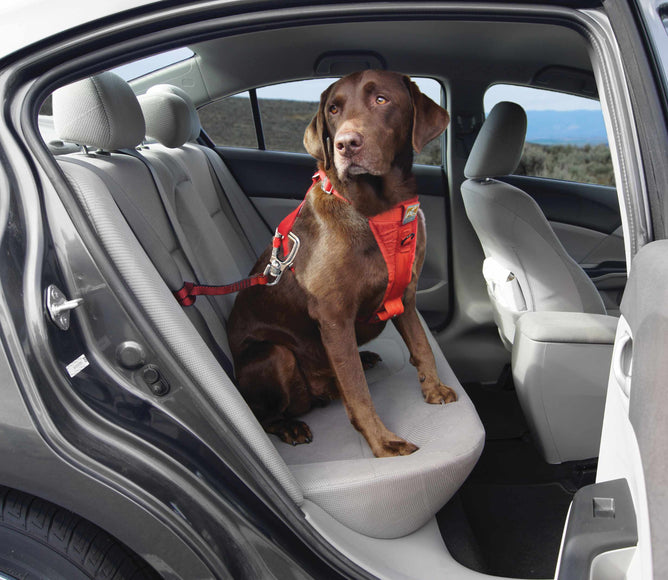 Kurgo Swivel Teether Car Seat Belt – Adjustable Safety Restraint with Secure Attachment for Large Dogs