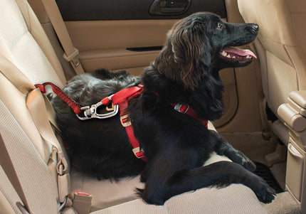 Kurgo Swivel Teether Car Seat Belt – Adjustable Safety Restraint with Secure Attachment for Large Dogs