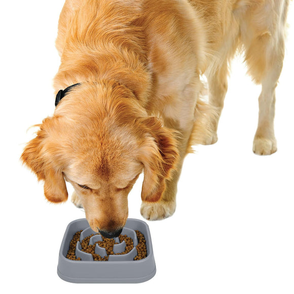 Dexas Slow Maze Feeder 1920ml – Blue Non-Slip Food Bowl with Maze Design, Promotes Healthy Eating
