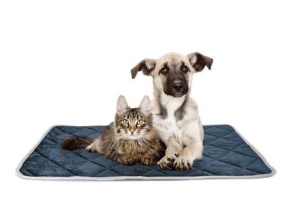 Record Thermal Mat 87x58cm – Reflective Heat Retention Surface, Comfortable Insulated Design