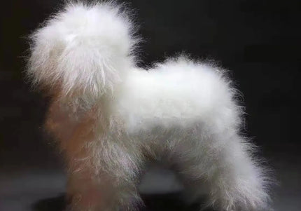 Mr. Jiang Teddy Model Dog – Realistic Grooming Training Dummy, Fur-Free Design