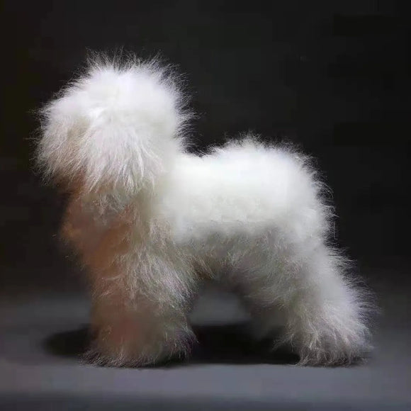 Mr. Jiang Teddy Model Dog – Realistic Grooming Training Dummy, Fur-Free Design