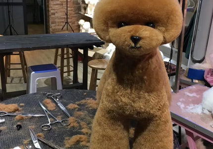 Mr. Jiang Teddy Full Body Replacement Hair – Brown Synthetic Coat, Realistic Texture