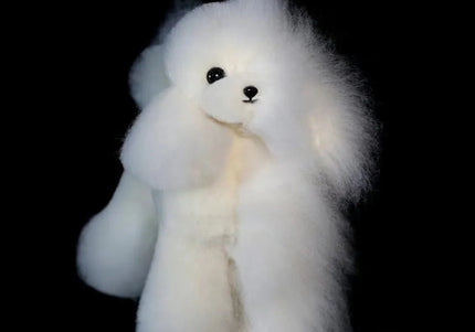 Mr. Jiang Teddy Model Dog – Realistic Grooming Training Dummy, Fur-Free Design