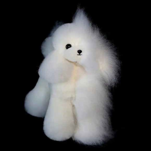 Mr. Jiang Teddy Model Dog – Realistic Grooming Training Dummy, Fur-Free Design