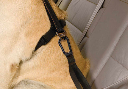 Kurgo Seatbelt Tether – Adjustable Car Safety Strap, Durable Metal Clip Attachment