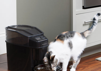 PetSafe Healthy Pet Simply Feed Automatic Food Dispenser – Programmable 12-Meal Capacity, Reliable Portion Control