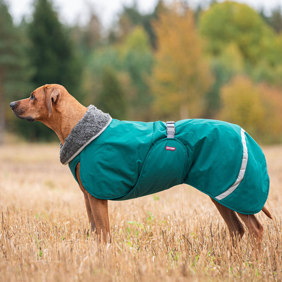 Toppa Pomppa Forest Harness Winter Jacket – Extra Warm, Green with Harness Opening, Size 70