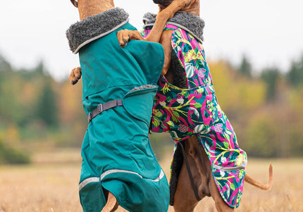 Toppa Pomppa Forest Harness Winter Jacket – Extra Warm, Green with Harness Opening, Size 70