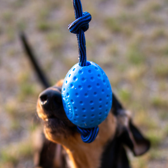 Kiwi Walker Let's Play Egg Blue – Durable Fetch Toy with Rope, Egg Shape, Vibrant Blue