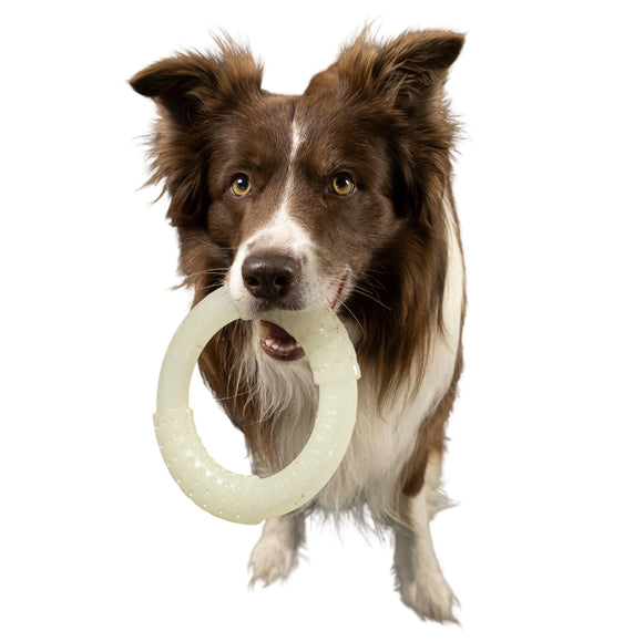 Kiwi Walker Let's Play and Glow UV Ring – Mini Glow-in-the-Dark Dog Toy, Lightweight Design
