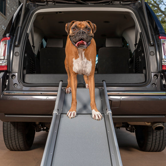 PetSafe Happy Ride Compact Telescoping Ramp – Lightweight Adjustable Design, Space-Saving Storage