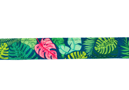 Max&Molly GOTCHA! Smart ID Cat Collar Tropical – Colorful Adjustable Collar with Smart Tag Technology