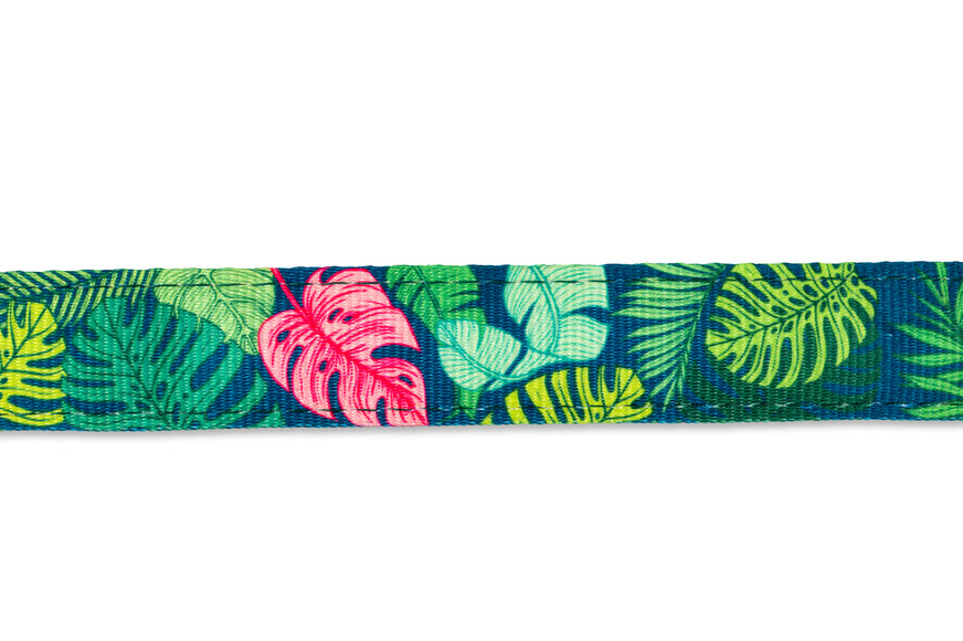Max&Molly Cat Harness and Leash Set – Adjustable Tropical Leaves Pattern, Lightweight Design