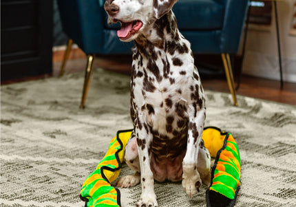 Outward Hound Durablez Snake XXL – Large Squeaky Unfilled Green Snake Dog Toy, Durable Design