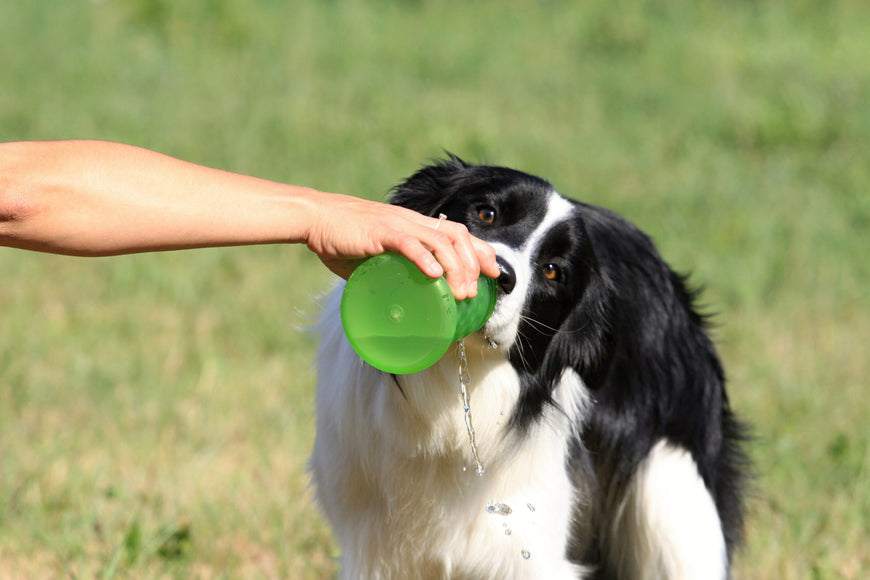 Kiwi Walker 2-in-1 Travel Bottle – Dual Food and Water Dispenser, Pink and Blue