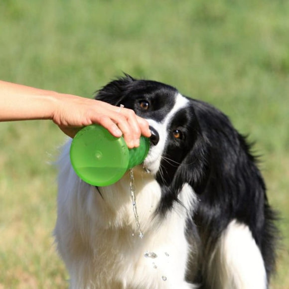 Kiwi Walker 2-in-1 Travel Bottle – Dual Food and Water Dispenser, Pink and Blue
