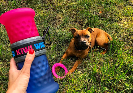 Kiwi Walker 2-in-1 Travel Bottle – Dual Food and Water Dispenser, Pink and Blue