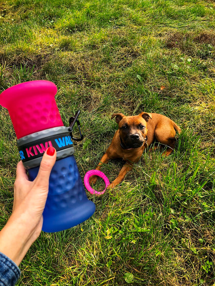 Kiwi Walker 2-in-1 Travel Bottle – Dual Food and Water Dispenser, Pink and Blue
