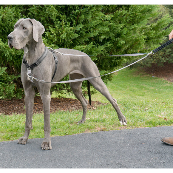 PetSafe Anti-Pull Dog Leash 116cm – Durable Nylon Lead with No-Pull Design, Comfortable Grip