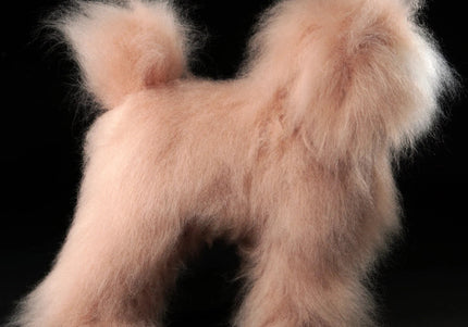 Mr. Jiang Teddy Full Body Replacement Hair – Beige with White Muzzle, Realistic Texture