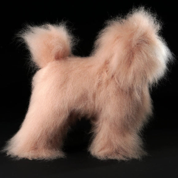 Mr. Jiang Teddy Full Body Replacement Hair – Beige with White Muzzle, Realistic Texture