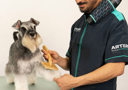 Artero Snake Hands Free Hair Dryer 2400W – Contoured Neck Strap, Comfortable High-Power Design