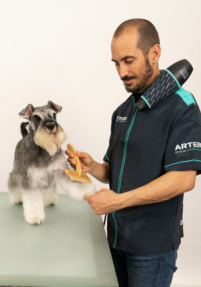 Artero Snake Hands Free Hair Dryer 2400W – Contoured Neck Strap, Comfortable High-Power Design