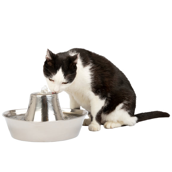 PetSafe Seaside Stainless Steel Fountain – 1.8L Durable Water Dispenser with Hygienic Design