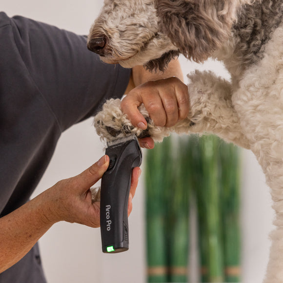 Wahl Arco Pro 1876 Cordless Clipper – Adjustable Blade, Single Battery, Lightweight Design