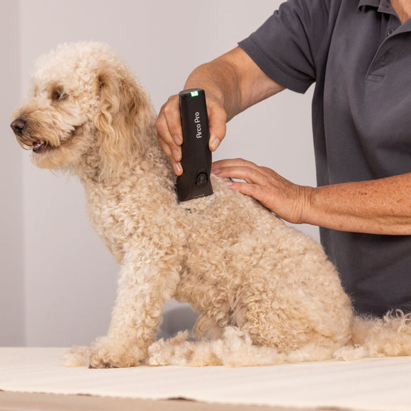 Wahl Arco Pro 1876 Cordless Clipper – Adjustable Blade, Single Battery, Lightweight Design